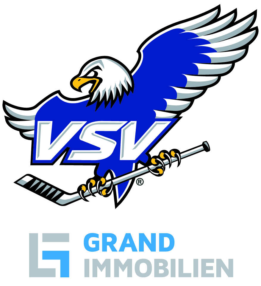 VSV Logo